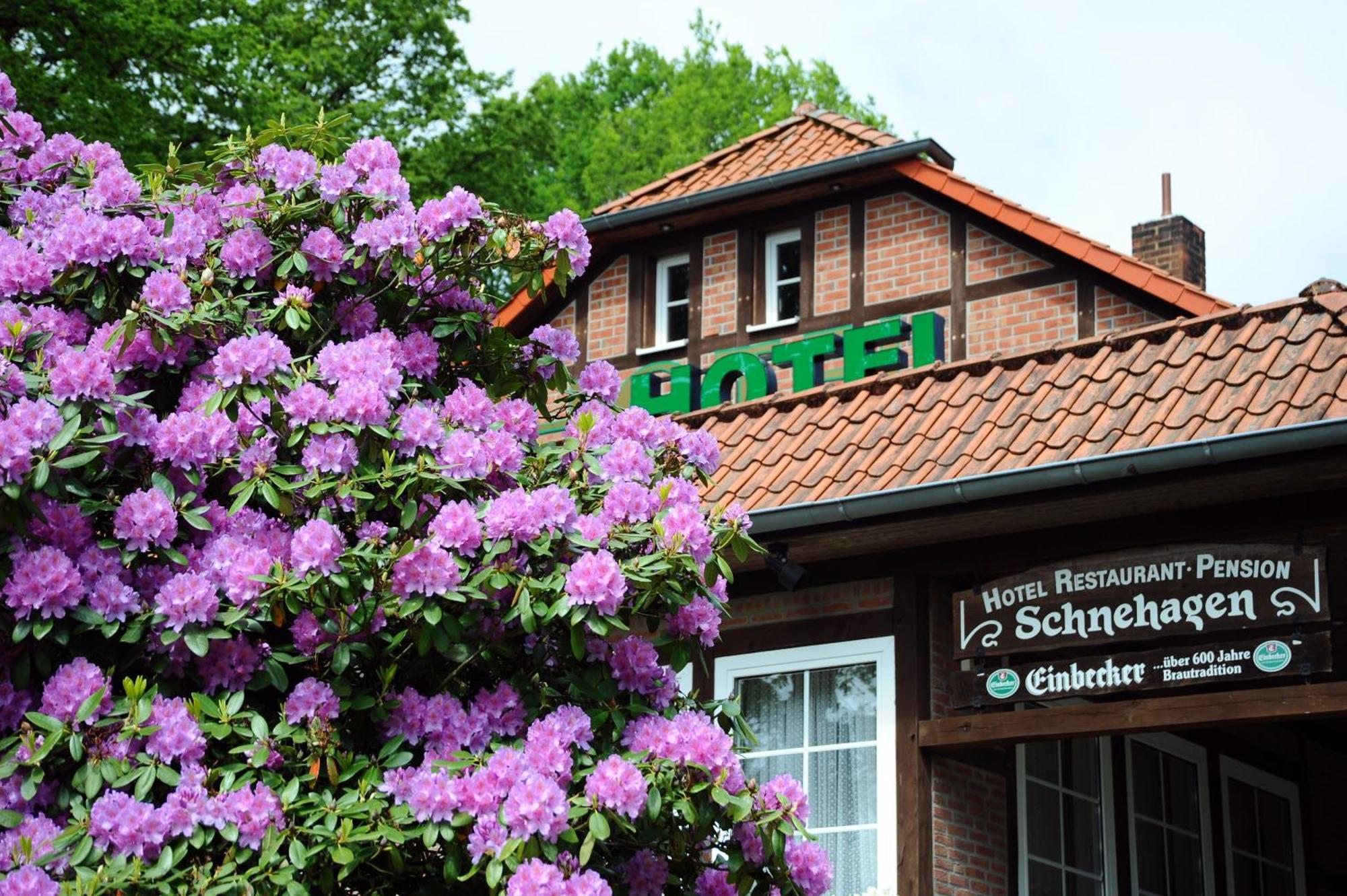 Hotel Schnehagen Bad Fallingbostel Esterno foto